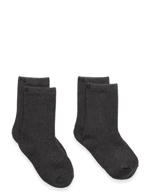 Exani | Ullstrumpa 2-Pack Jr | 34-36