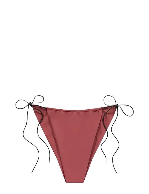 AYA Label | The Pallas Bottom | S