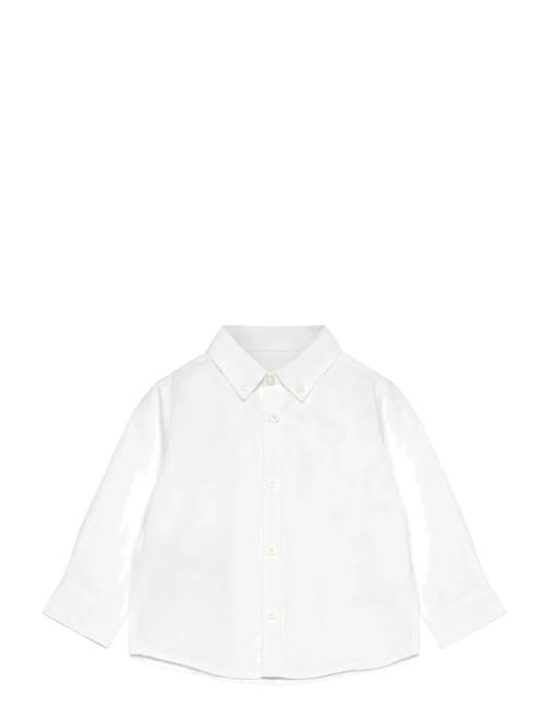 Mango | Oxford Cotton Shirt | 4-5