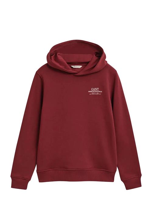 GANT | Graphic Hoodie | 146-152