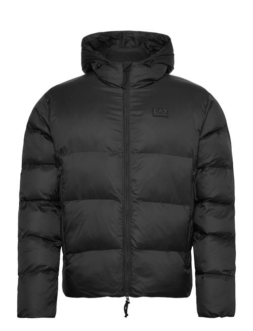 EA7 | Bomber Jacket | XXL