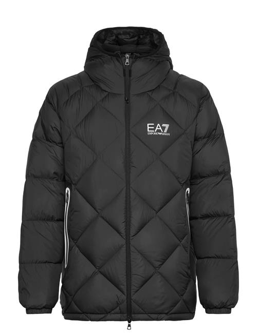 EA7 | Down Jacket | XL