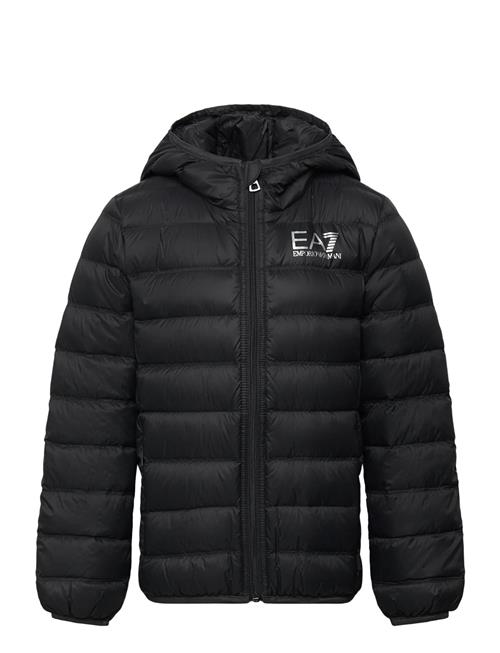 EA7 | Down Jacket | 164