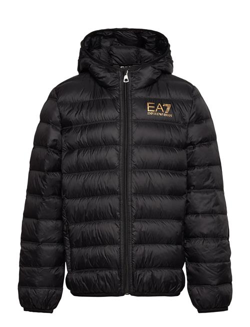 EA7 | Down Jacket | 176