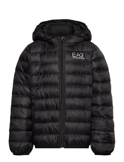 EA7 | Down Jacket | 176