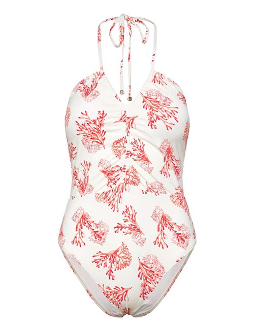 Malina | Misty Ruched Halterneck Swimsuit | L