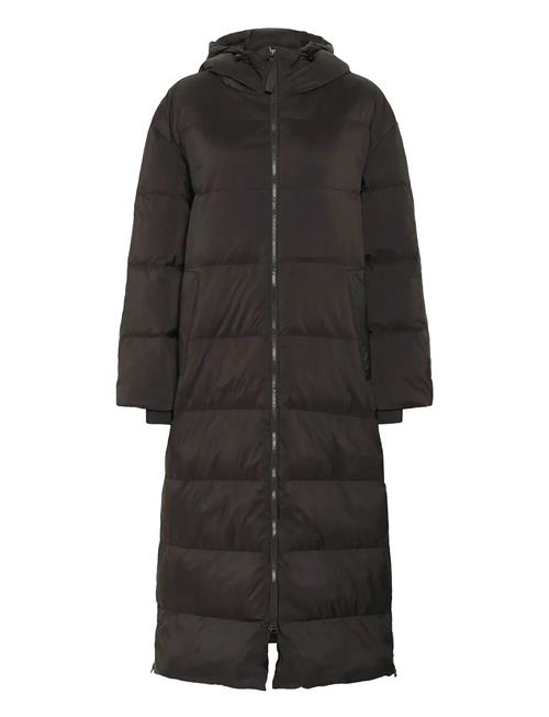 Part Two | Safirpw Otw | 36