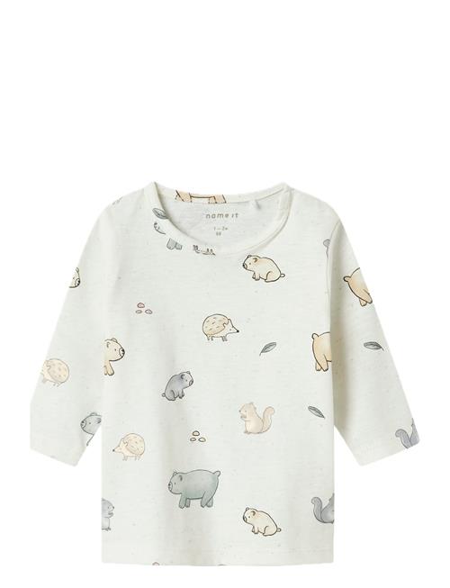 name it | Nbnluma Ls Top | 56