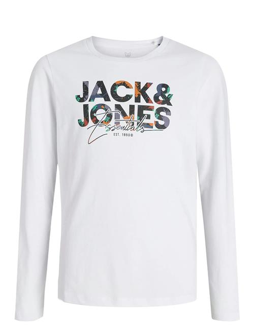 Jack & Jones | Jjgeplas Tee Ls Crew Neck Mni | 116