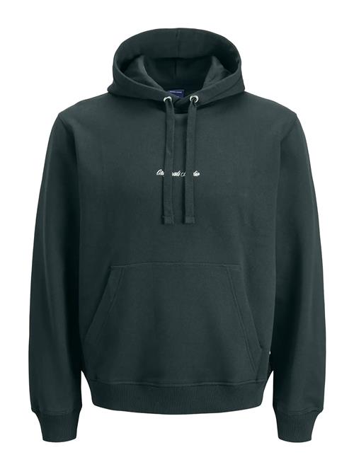 Jack & Jones | Jornorrebro Emb Sweat Hood Noos | S