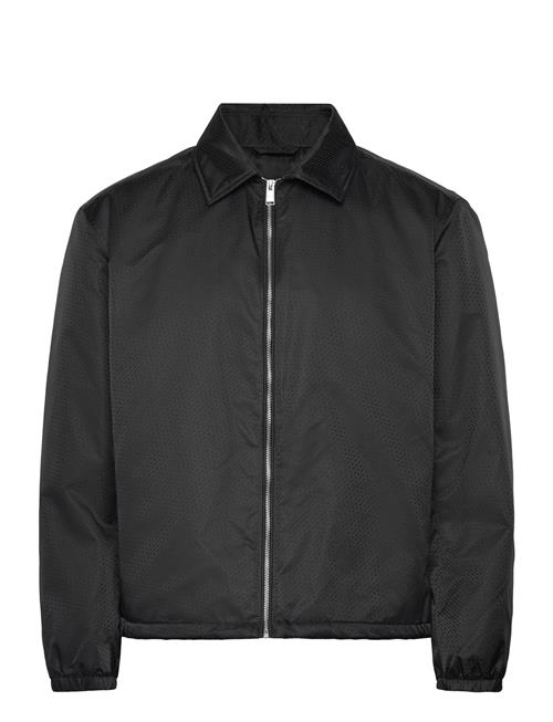 BOSS | H-Crestell | 52