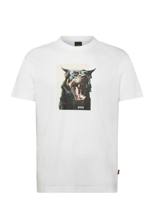 BOSS | Te_Dobermann | XXL