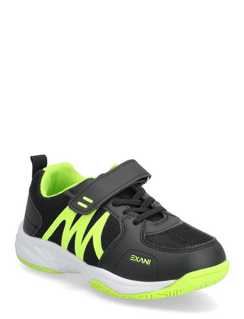 Exani | Zephyr Jr | 33