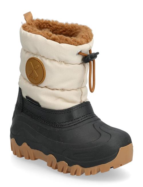 Exani | Aspen K | 26