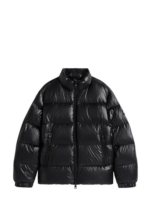 Tommy Hilfiger | Shiny Down Stand Puffer | XXL
