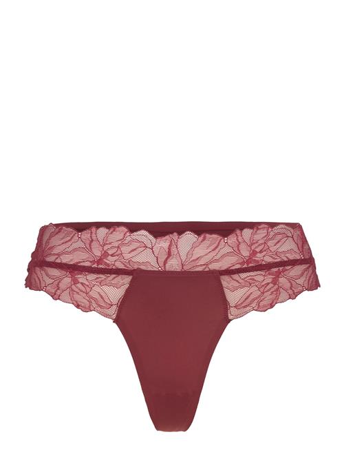 Calvin Klein | Thong | S