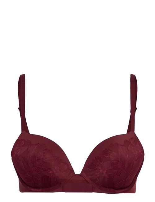 Calvin Klein | Push Up Plunge | C x 85