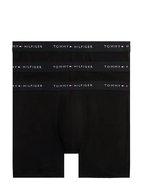 Tommy Hilfiger | 3P Boxer Brief Dtm | XL