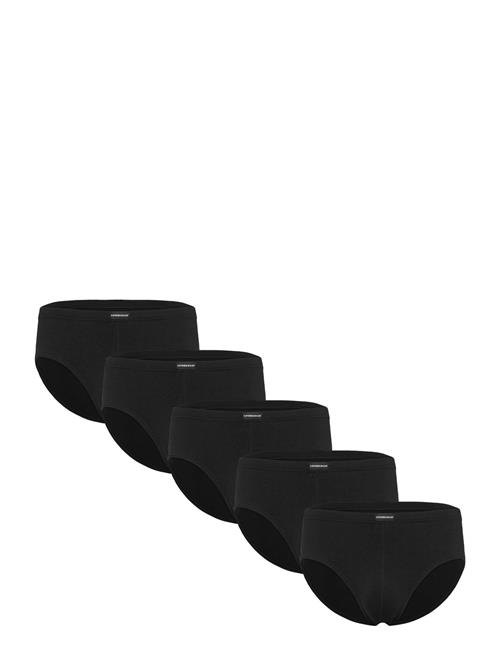 Lindbergh | 5Pk Minislip | XXXL