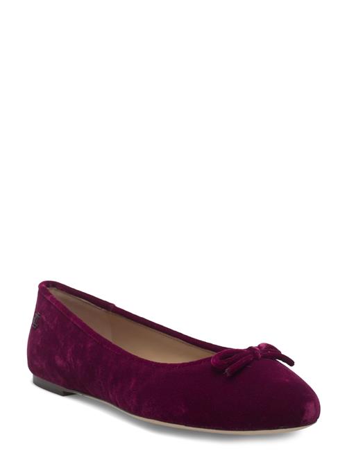 Lauren Ralph Lauren | Jayna Iii Velvet Flat | 37