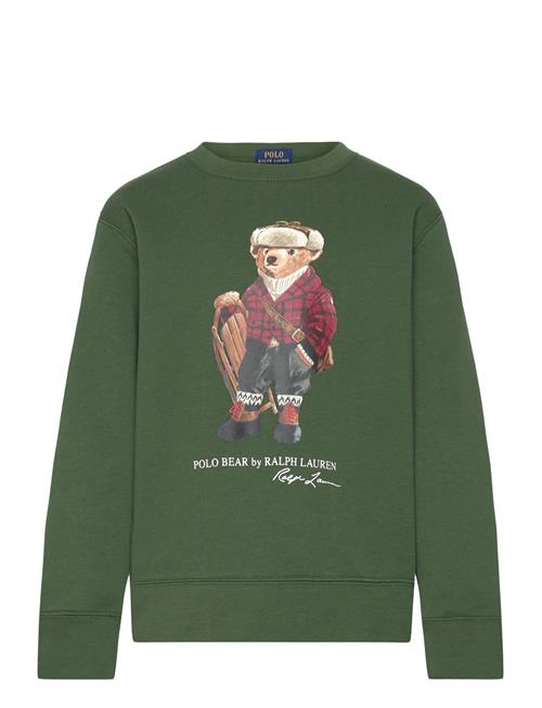 Ralph Lauren Kids | Polo Bear Fleece Sweatshirt | 150-161