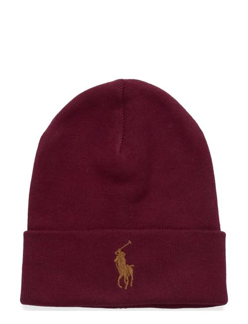 Polo Ralph Lauren | Combed Cotton Beanie | ONE SIZE