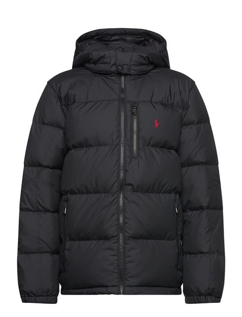 Ralph Lauren Kids | Ripstop Down Hooded Jacket | 132-137