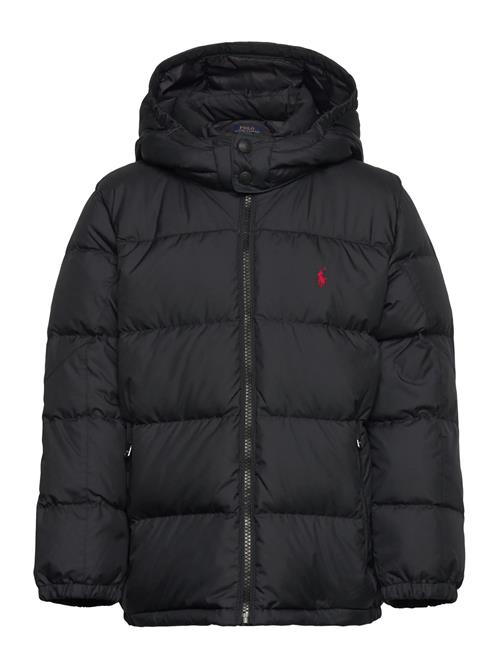 Ralph Lauren Kids | Ripstop Down Hooded Jacket | 117-123