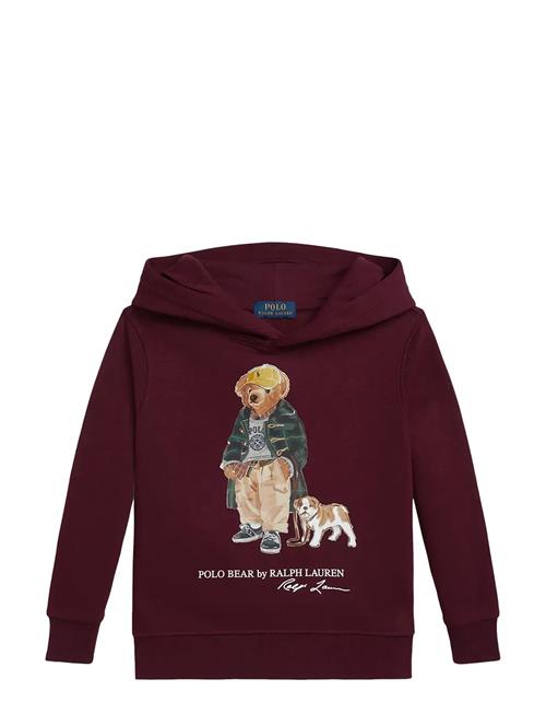 Ralph Lauren Kids | Polo Bear Fleece Hoodie | 88-93