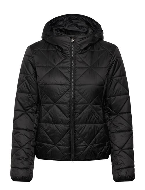 HUGO | Fandine-1 | XS