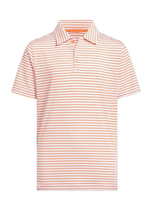 adidas Golf | B Striped Polo | 152