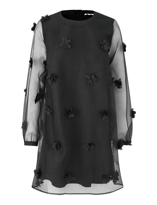 mbyM | Molli Ls-M | L