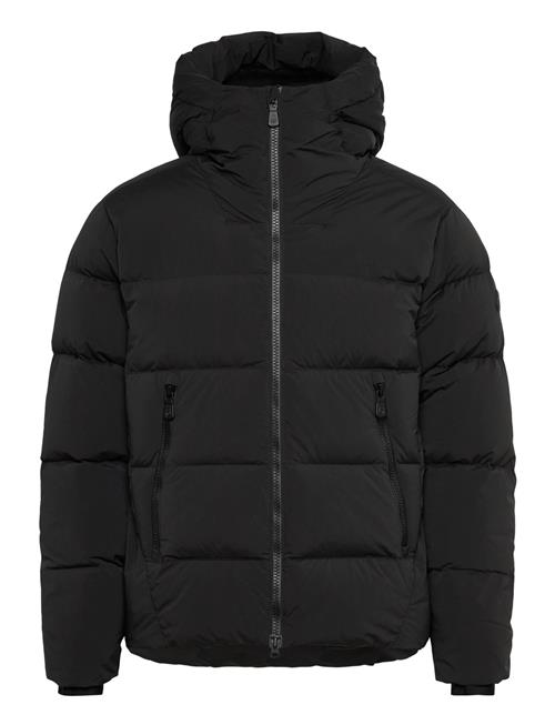 Sail Racing | Cloud Down Stretch Hood | M