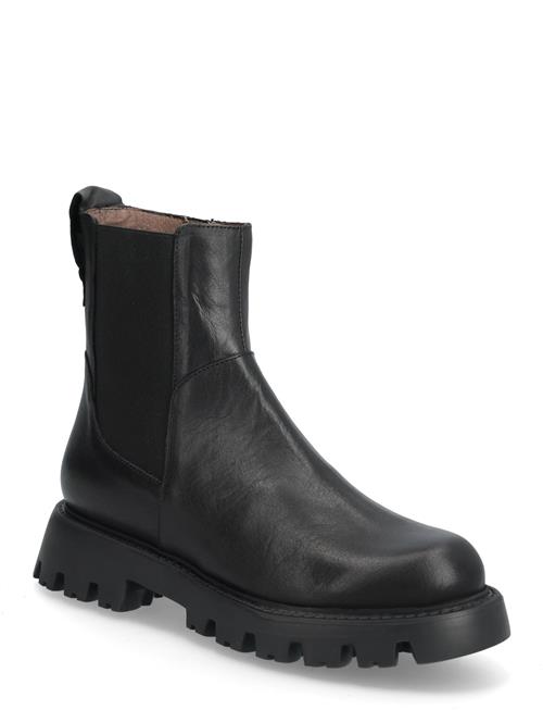 Wonders | Goodfly 11 | 35