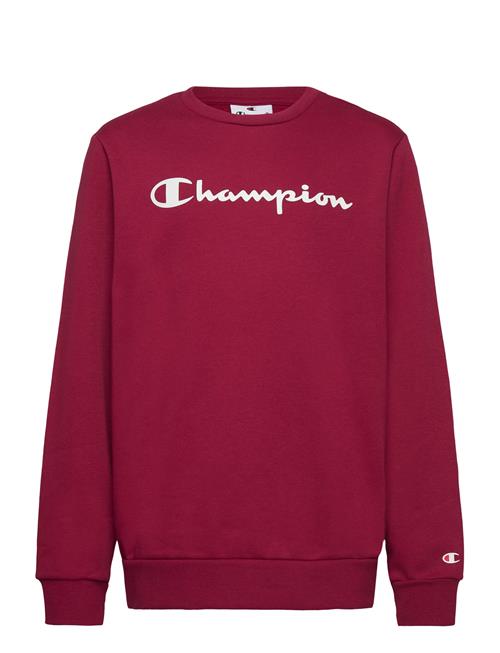 Champion | Crewneck Sweatshirt | 138-143