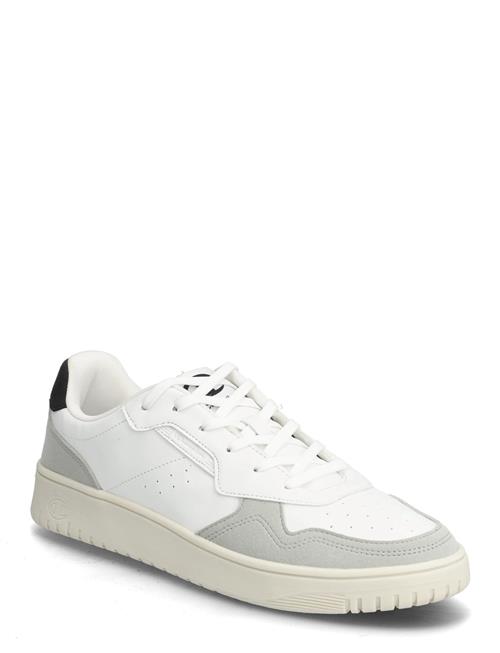 Champion | Rs25  Low Cut Shoe | 40