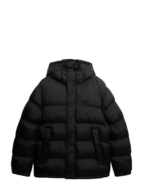 Superdry | Hooded Tech Padded Jkt | M