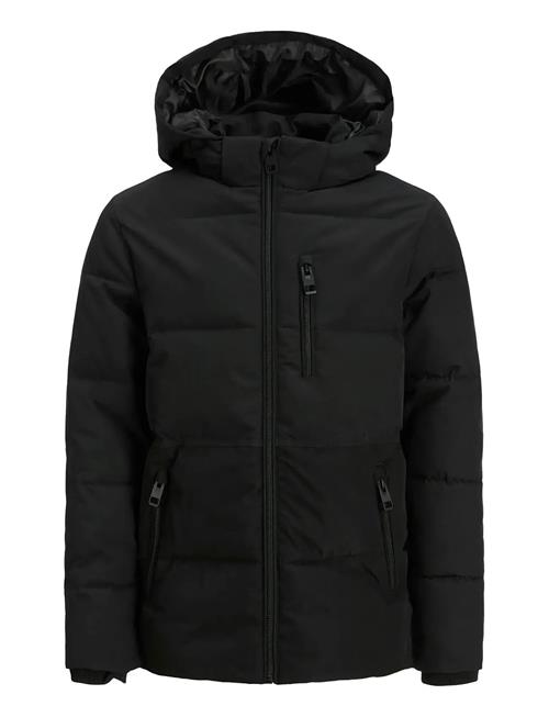 Jack & Jones | Jjeowen Puffer Sn Jnr | 140