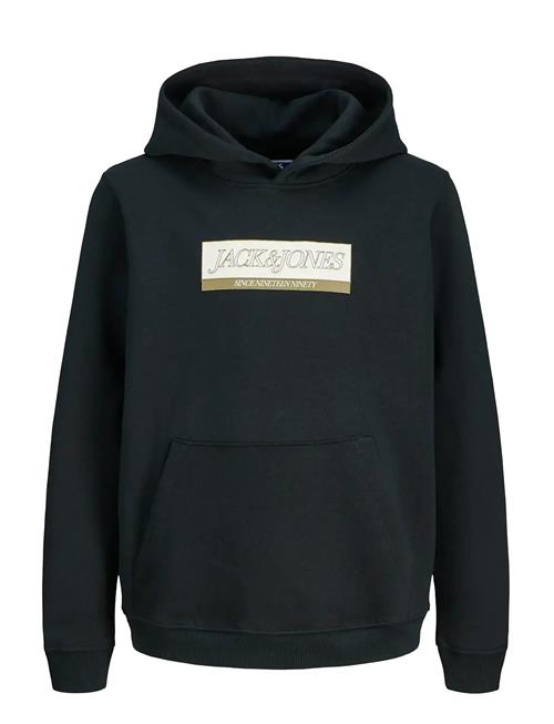 Jack & Jones | Jorinwood Block Branding Sweat Noos Jnr | 164