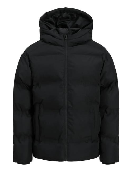 Jack & Jones | Jjesoho Puffer Hood Sn Jnr | 164
