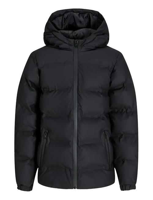 Jack & Jones | Jjelements Pu Puffer Jnr | 176