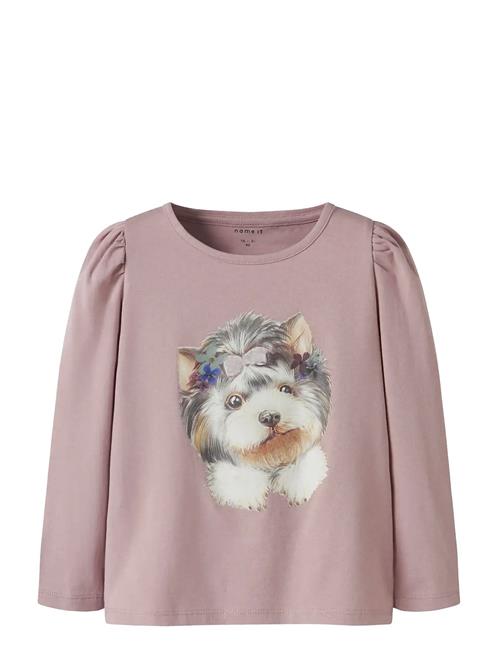 name it | Nmfninea Ls Top | 92