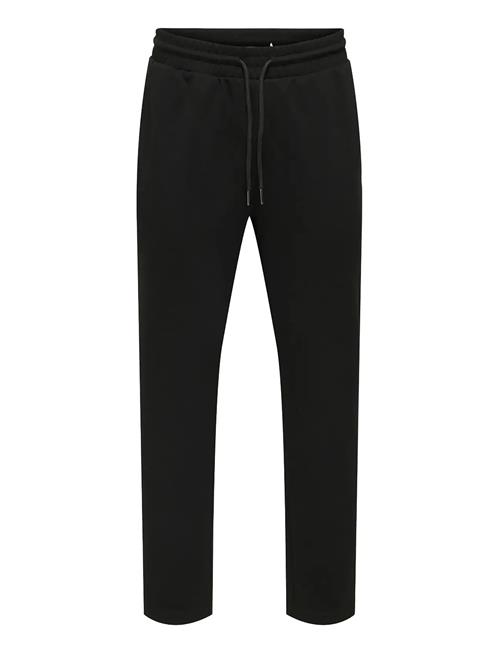 ONLY & SONS | Onsnewkodyl Linus Pant Noos | L