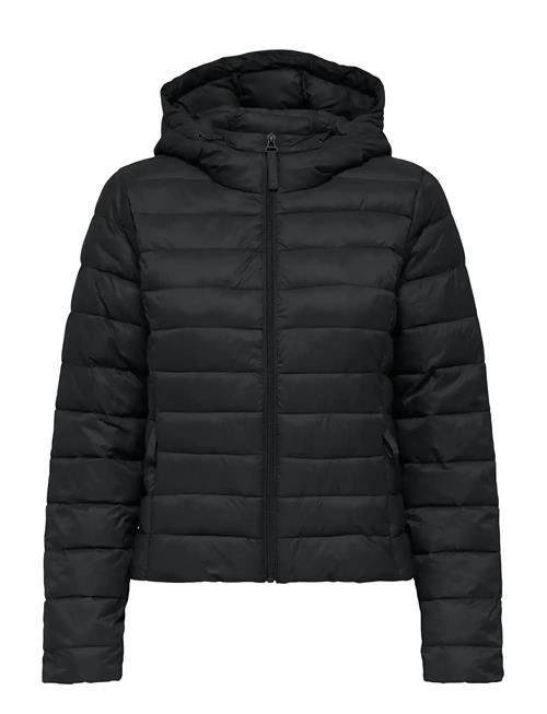 ONLY | Onltahia Lw Quilted Hood Jkt Noos Otw | L