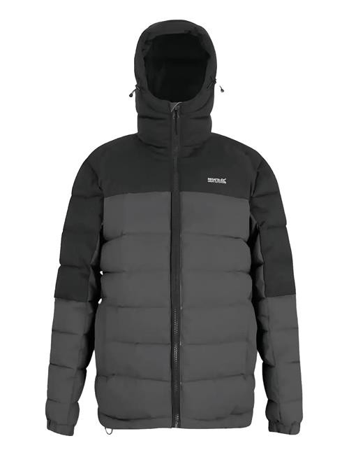 Regatta | Aldthorn | M