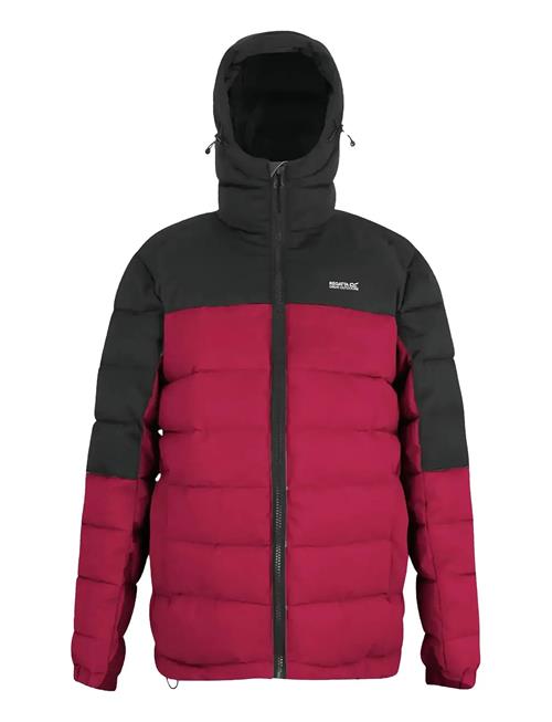 Regatta | Aldthorn | XL