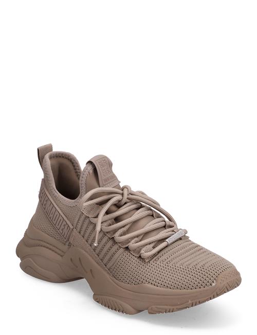 Steve Madden | Mac-E Sneaker | 37