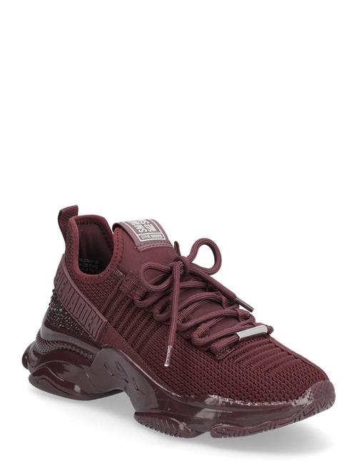 Steve Madden | Maxilla-R-E | 37