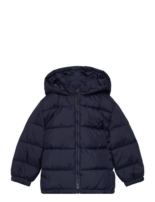 Mango | Hooded Liner Quilted Coat | 9-12M