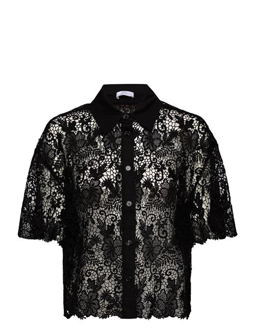 2NDDAY | 2Nd Tabbi - Heavy Lace | 44